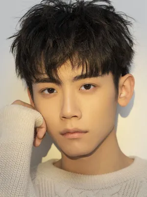 Li Qing