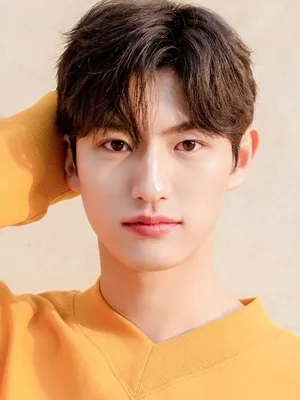 Son Hyun-woo