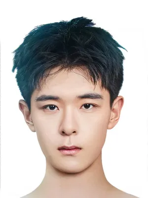 Li Gengyou