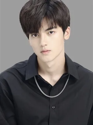 Liu Zirui