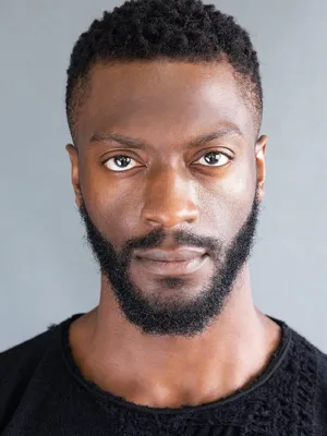 Aldis Hodge