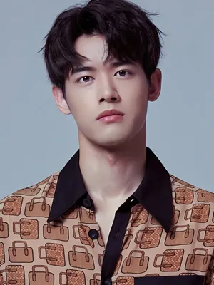 Liu Dongqin