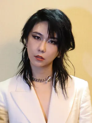 Zhao Meng