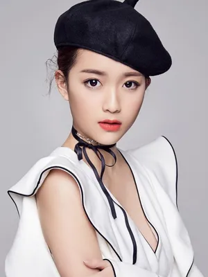 Li Baihui