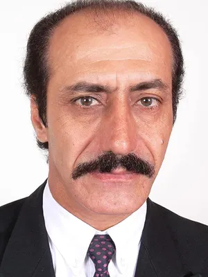Mike Akrawi