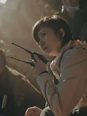 Cai Jing
