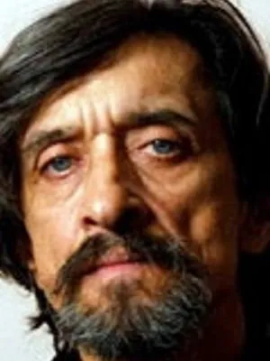 Vladimir Malkov