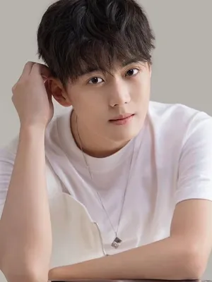 Liu Yongchen