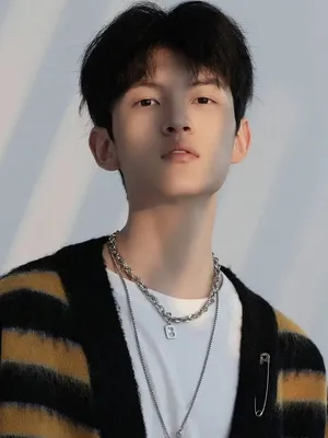 Ye Shengtong