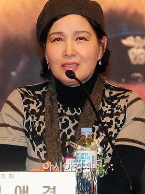 Kim Ae-kyung