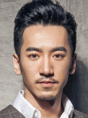 Wang Meng