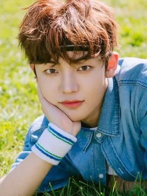Kang Yu-Chan