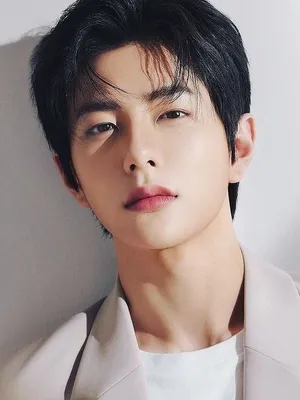 Choi Bo-min