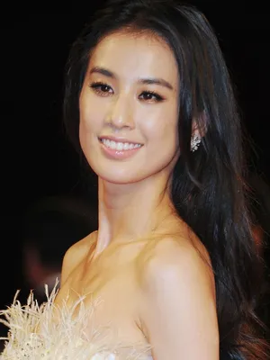 Huang Shengyi