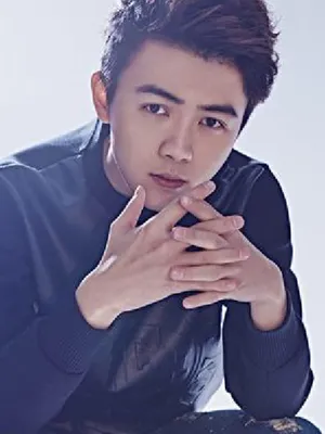 Yi Zhengfu