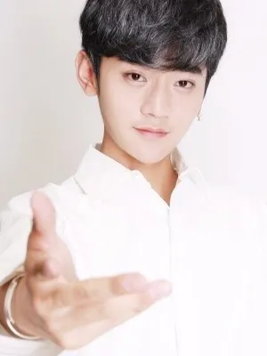 Yu Kaining