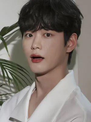 Han Se-jin