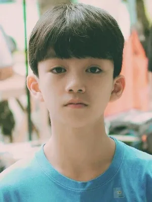 Liu Ruogu