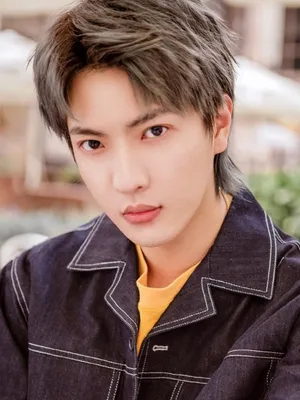 Dong Yanlei