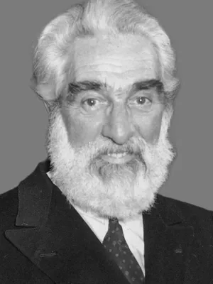 Noel Purcell