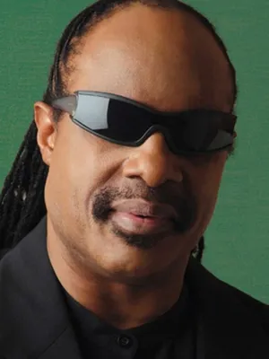 Stevie Wonder