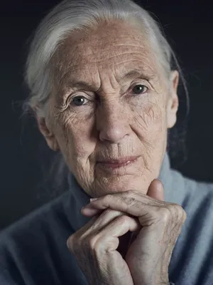 Jane Goodall