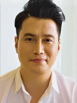 Việt Anh