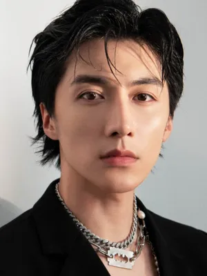Liu Chenglin