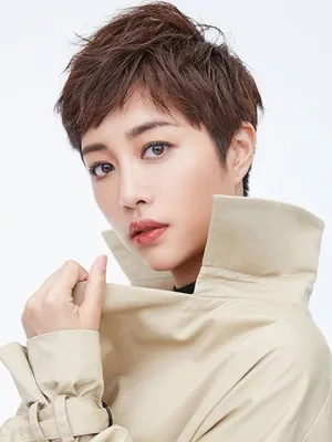 Zhang Lingxin