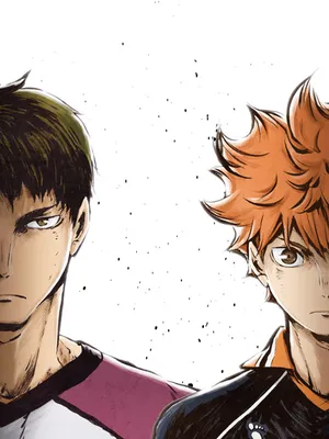 Haikyu - Chàng khổng lồ tí hon